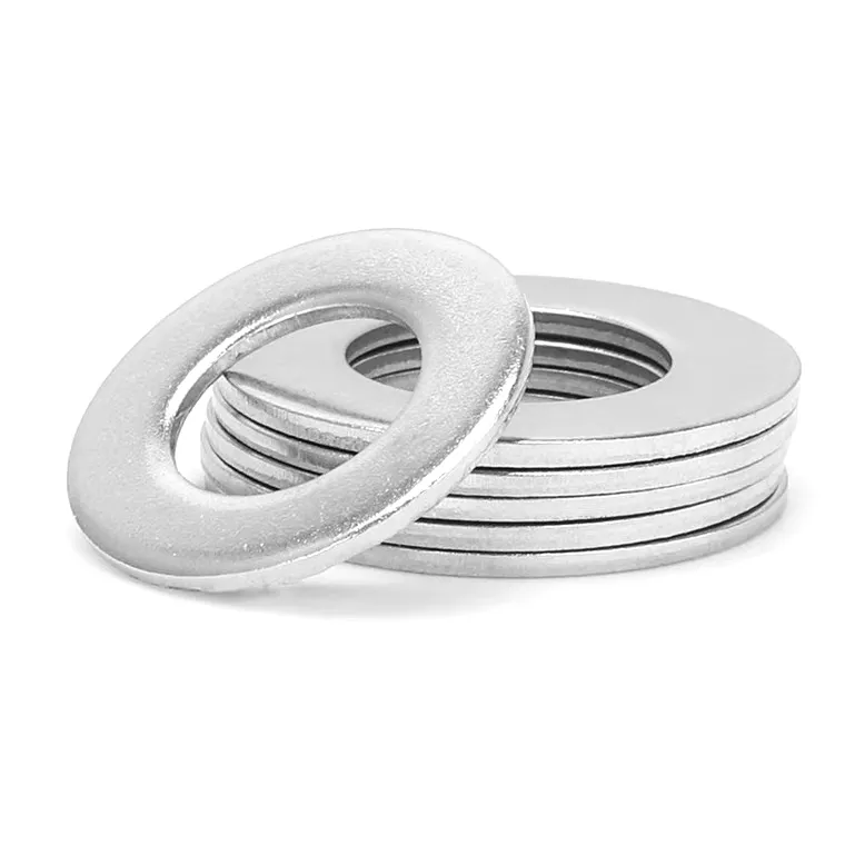 SS Flat Washers