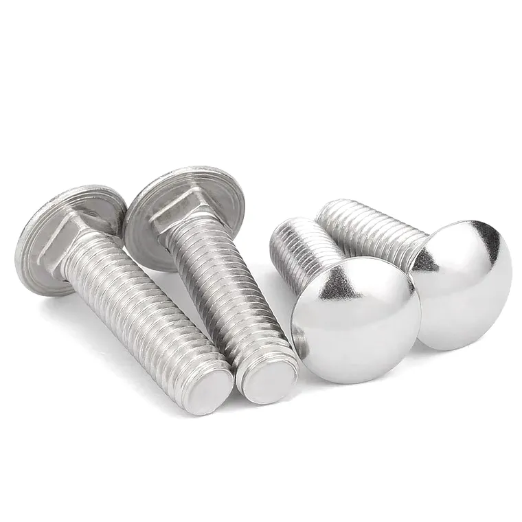 Polished stainless steel carriage bolts