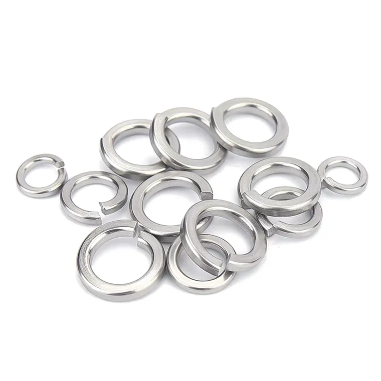 SS spring washers