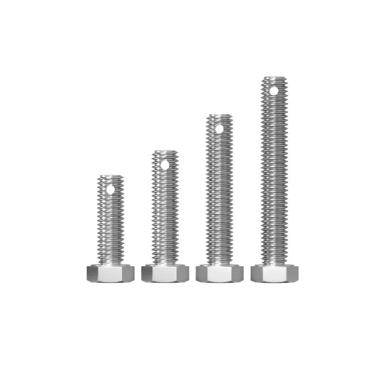 Stainless Steel Castle Nuts for Stainless Steel Bolts with Hole