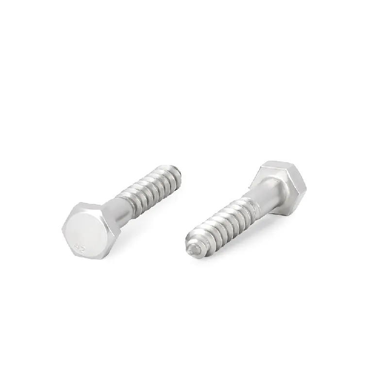 Stainless steel lag screws