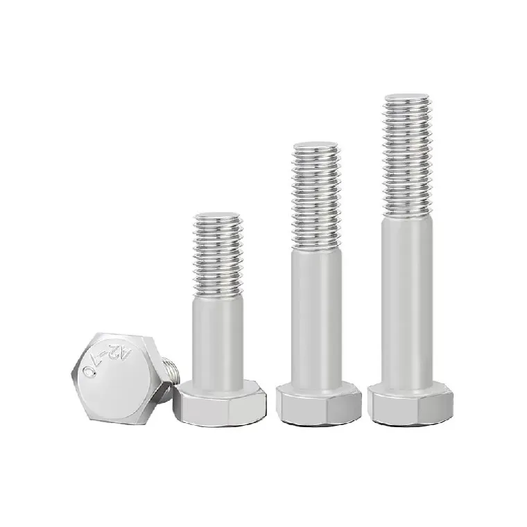 M6 Stainless Steel Bolts